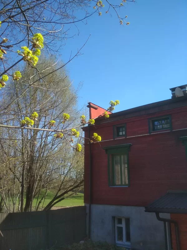 Namiņš Rīgā